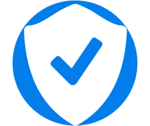 Essay Writing Service