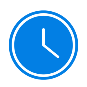 Essay Writing Service